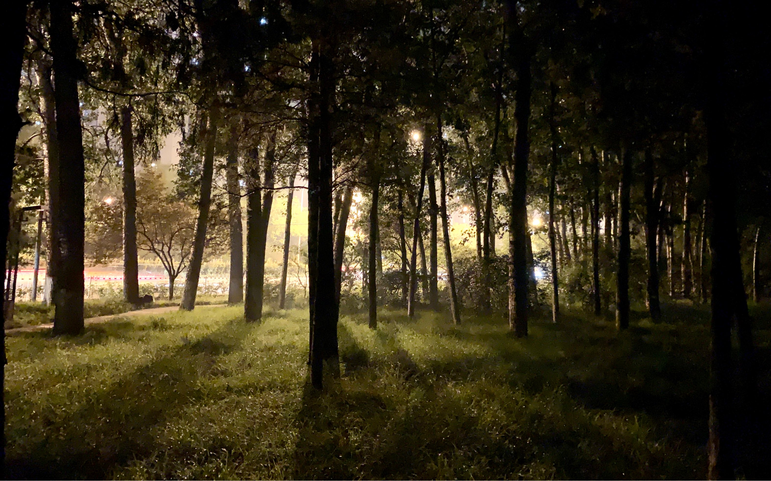 walking all day 去他妈的世界 二环散步 夜晚的电影时刻 压马路 雨后