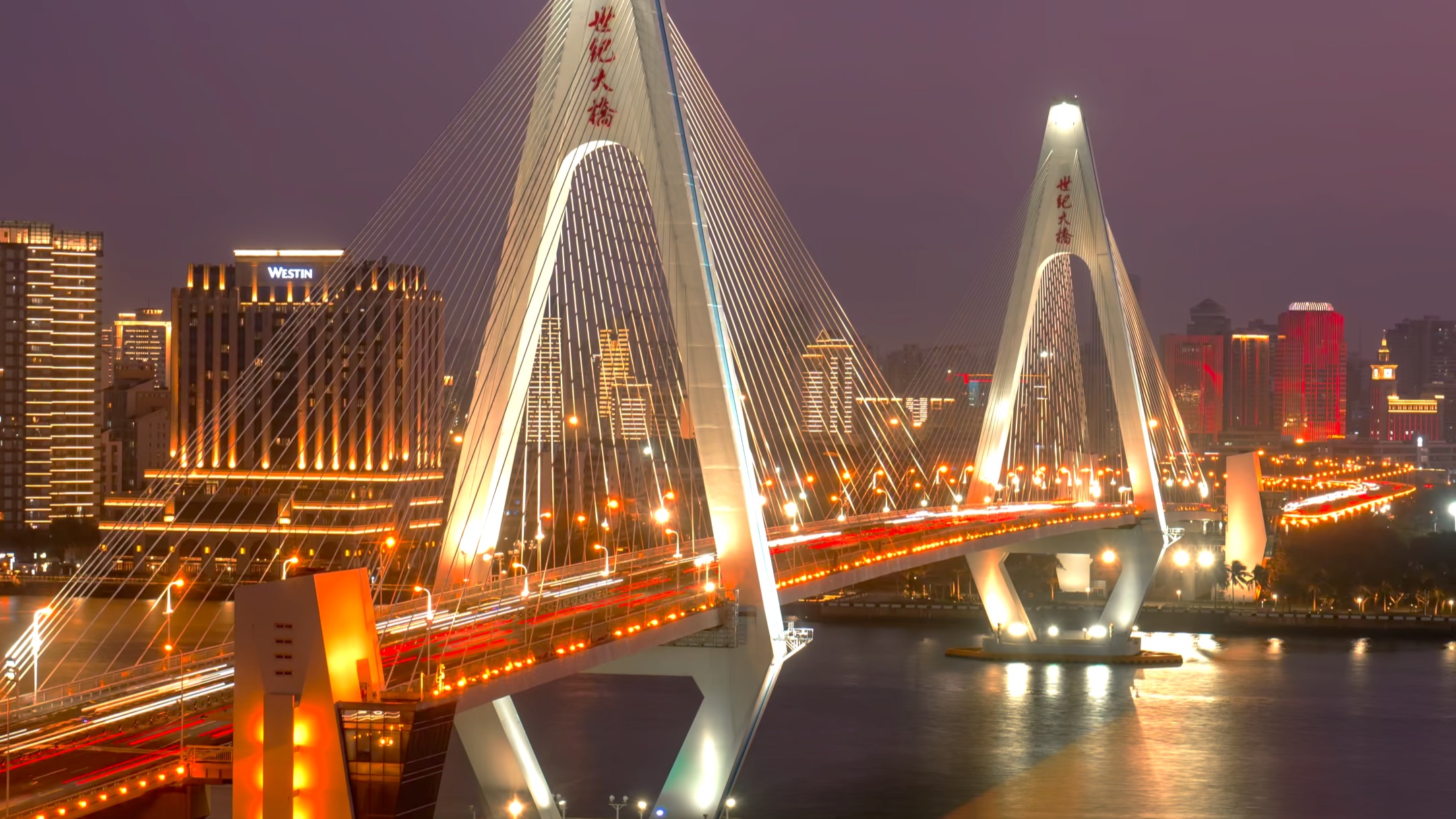海口世纪大桥夜景图片
