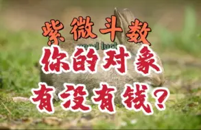 Tải video: 紫微斗数：你的对象有没有钱？天同太阴男，夫妻宫天机。武曲贪狼，廉贞七杀，太阳太阴，天梁巨门。破军天相。