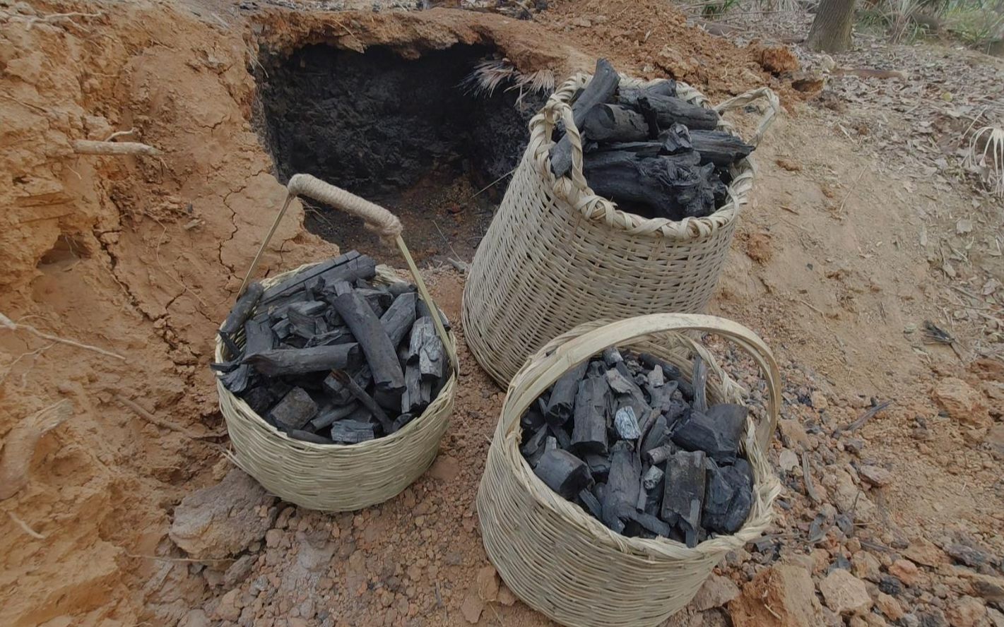 尝试土窑烧炭,终于烧出像样的木炭了【打野记】