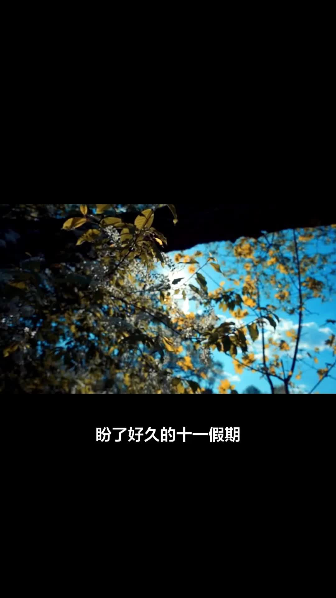 WD 2TB My Passport随行版移动硬盘评测:开箱惊艳,加密靠谱,推荐入手吗?好用吗?