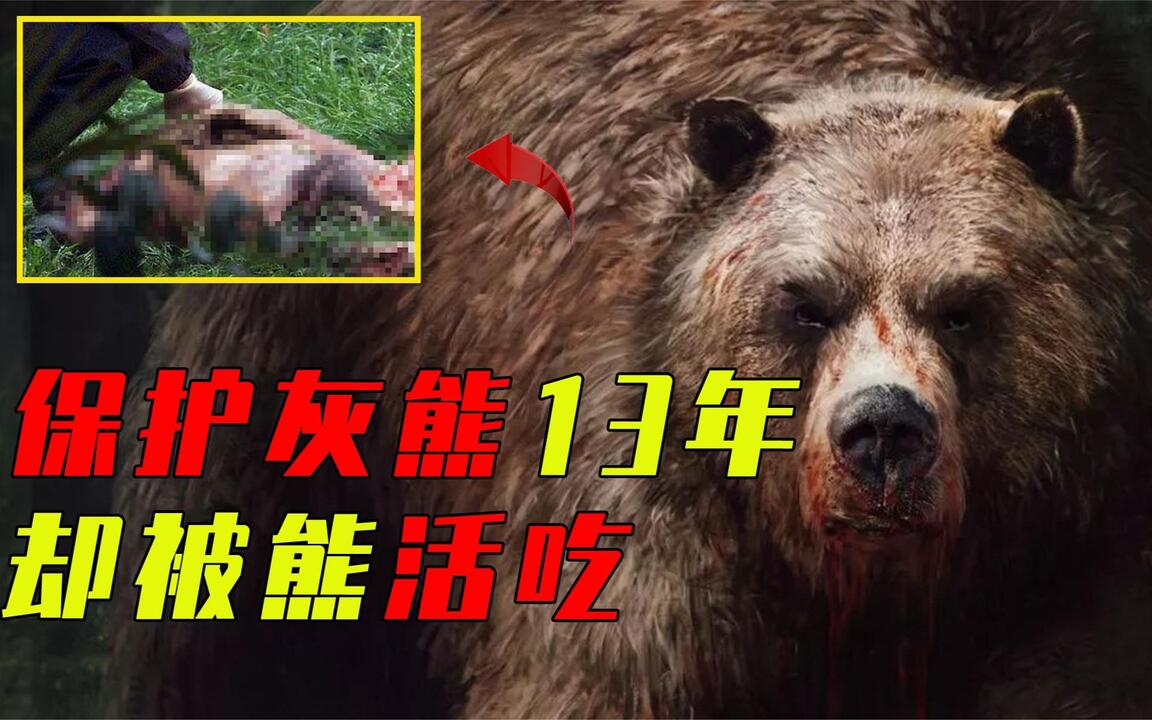 保护13年灰熊，却连同女友双双被活吃，6分钟啃食录音流出！_哔哩哔哩_