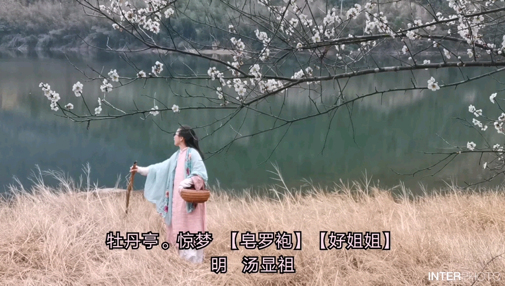 《牡丹亭.游园惊梦》明 汤显祖  [皂罗袍]    [好姐姐]