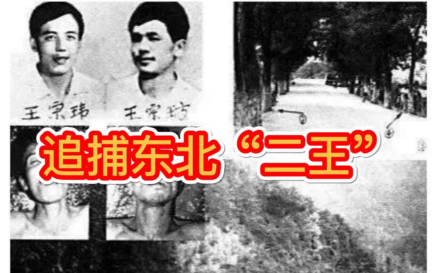 現代案6-追捕