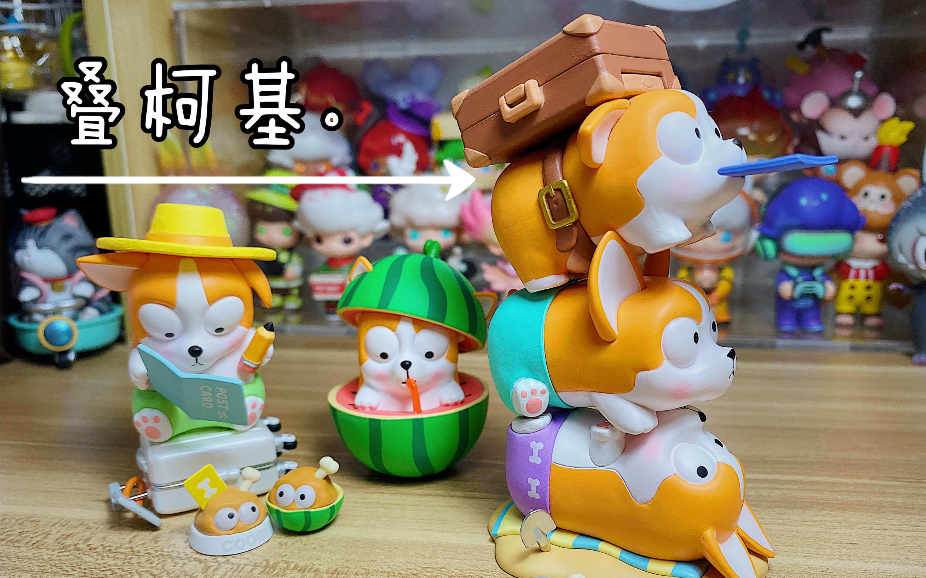 阿怼拆拆拆柯基coogi来啦可爱呆萌一次收获宠物盲盒爱好者不能错过