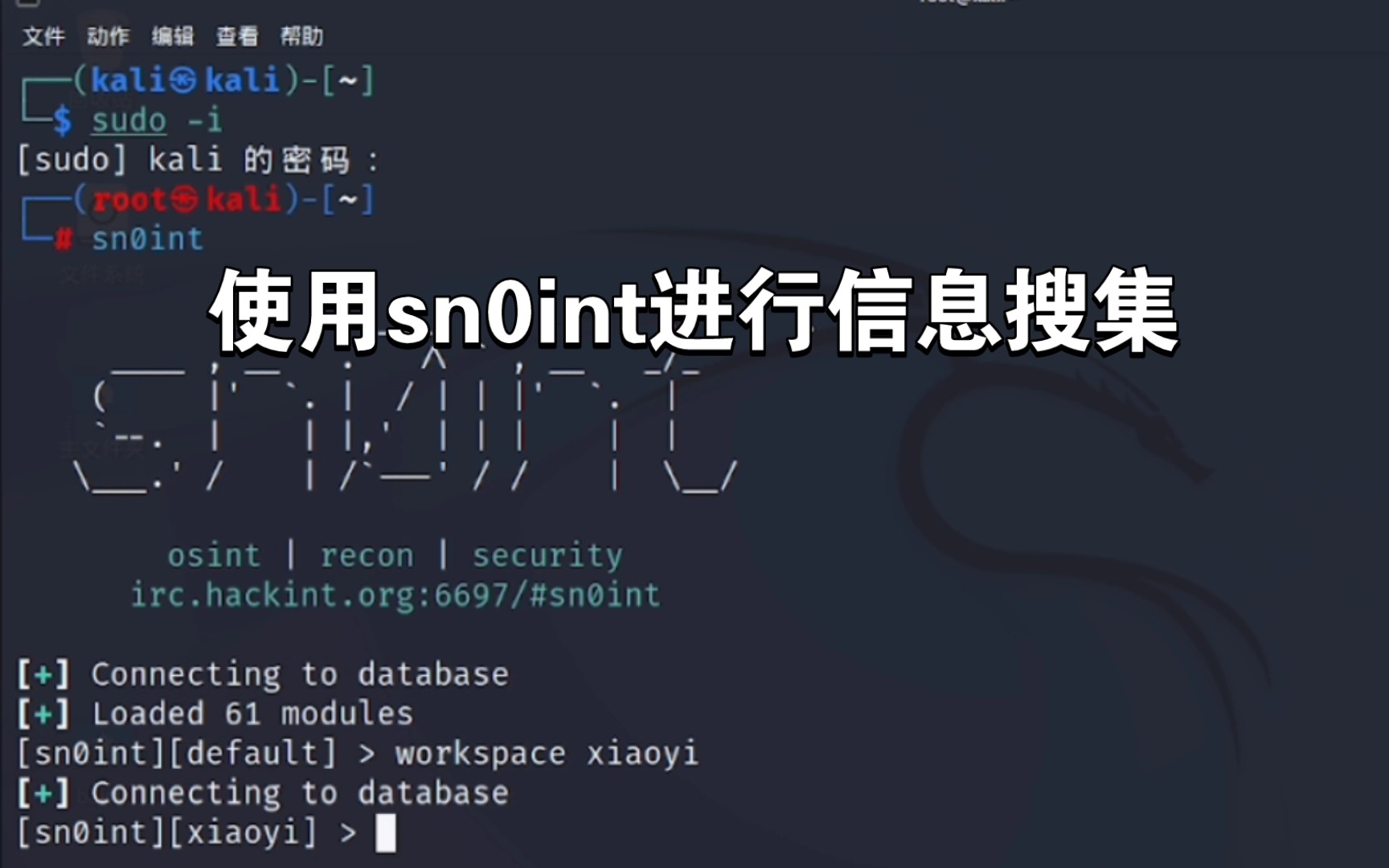 使用sn0int进行信息搜集,IT安全的必备哔哩哔哩bilibili