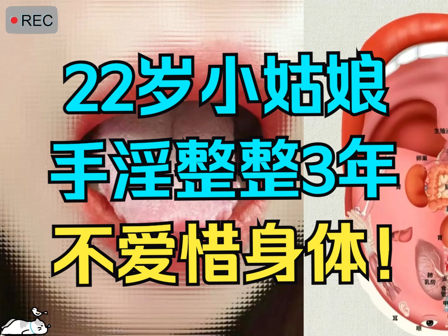 22岁小姑娘,手淫整整3年,每天最低3次,不爱惜身体!!哔哩哔哩bilibili