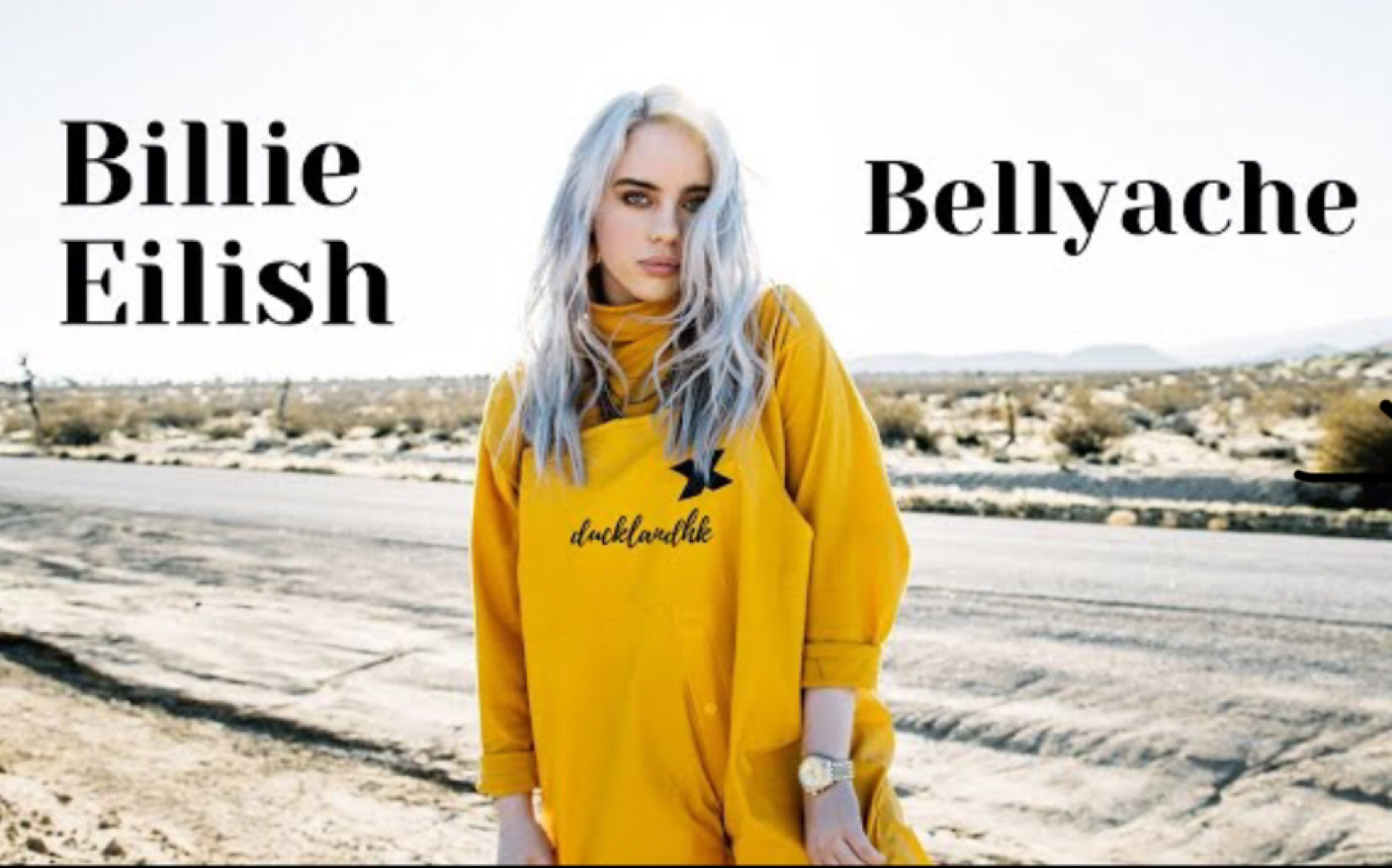 [图]Billie Eilish-bellyache(腹痛)