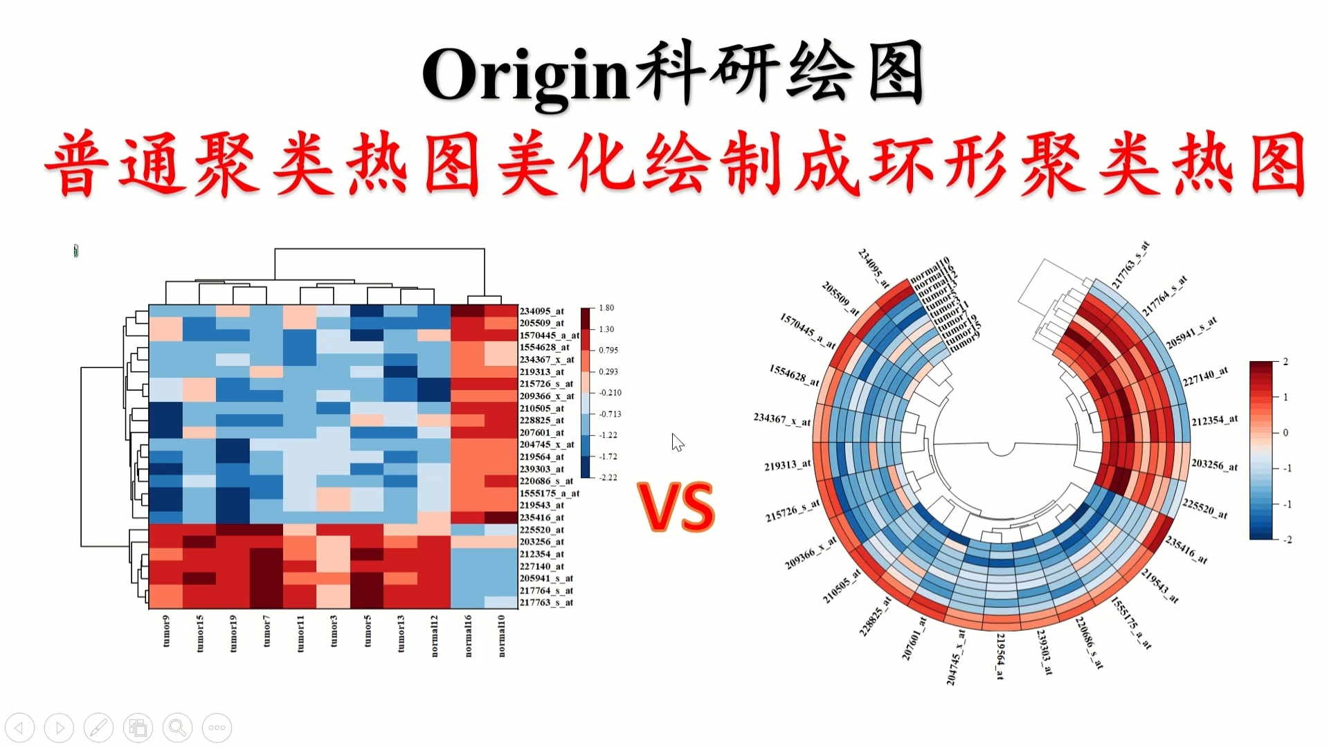 Origin将普通聚类热图美化绘制成环形聚类热图哔哩哔哩bilibili