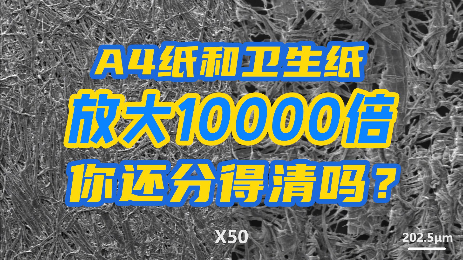 把A4纸和卫生纸放大10000倍,你还分得清吗?哔哩哔哩bilibili