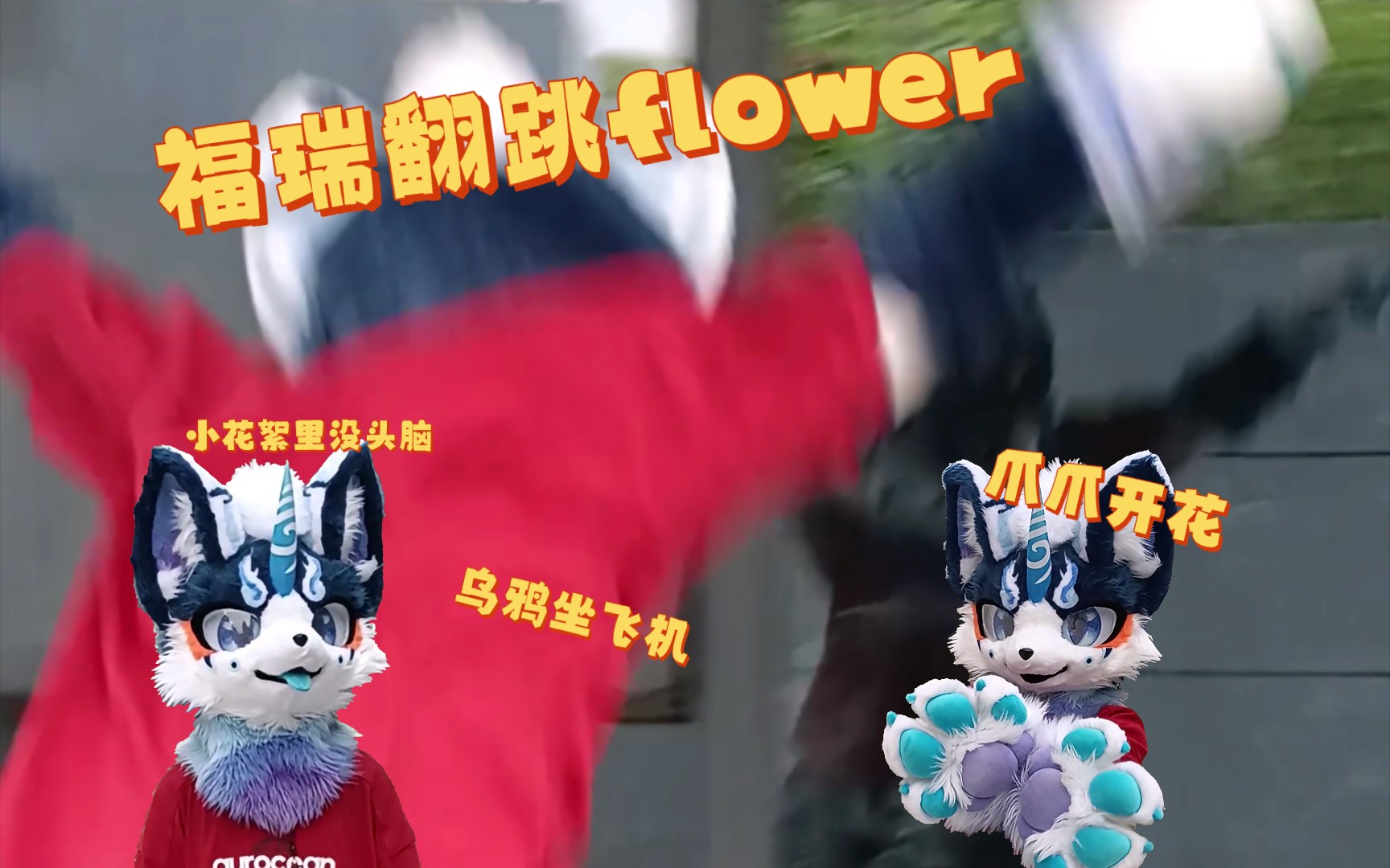 [图]你们要的flower来啦