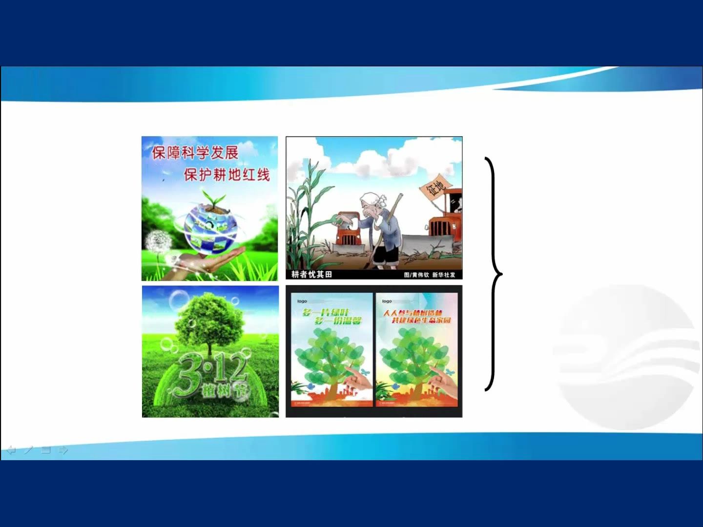 中国的土地资源、开发与利用现状、耕地、草地、林地、问题与保护(9.5分)哔哩哔哩bilibili