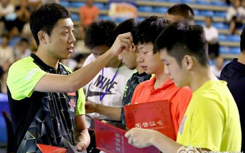 【720p高清】2013年秦门师兄弟双打 马龙/许昕比赛汇总