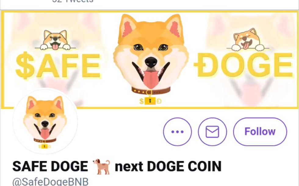 safedoge,next dogecoin?_哔哩哔哩_bilibili