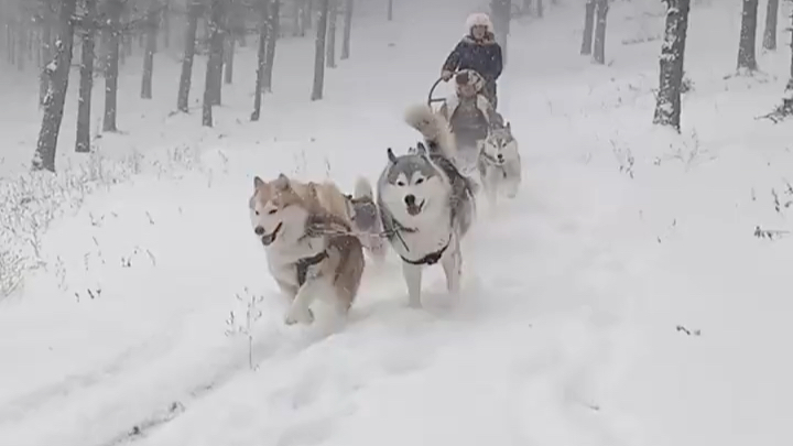 东北强降雪冻的发紫哔哩哔哩bilibili