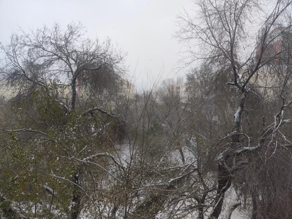 [图]乌鲁木齐已经下了好多场雪了哦！