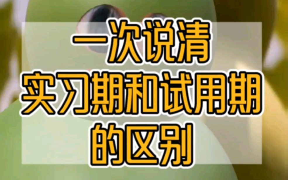 一次说清实习期和试用期的区别,大学生避避坑!哔哩哔哩bilibili