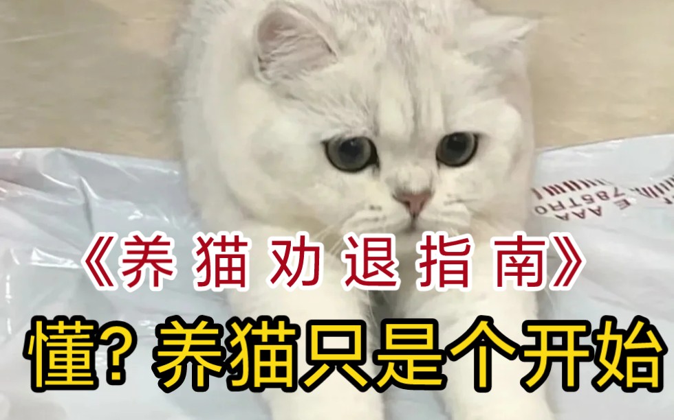 [图]《养 猫 劝 退 指 南》养猫之前真的要做好觉悟，养猫只是个开始！