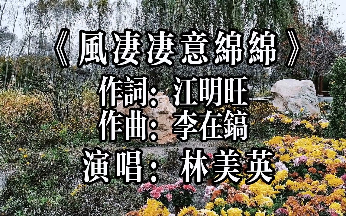 [图]林美英《风凄凄意绵绵》歌声凄美，唱尽人间离别痛！.mp4