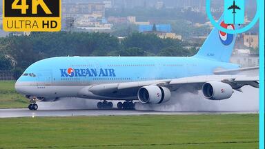 Yamato Transport A321P2F JA81YA｜成田空港｜4K_哔哩哔哩_bilibili