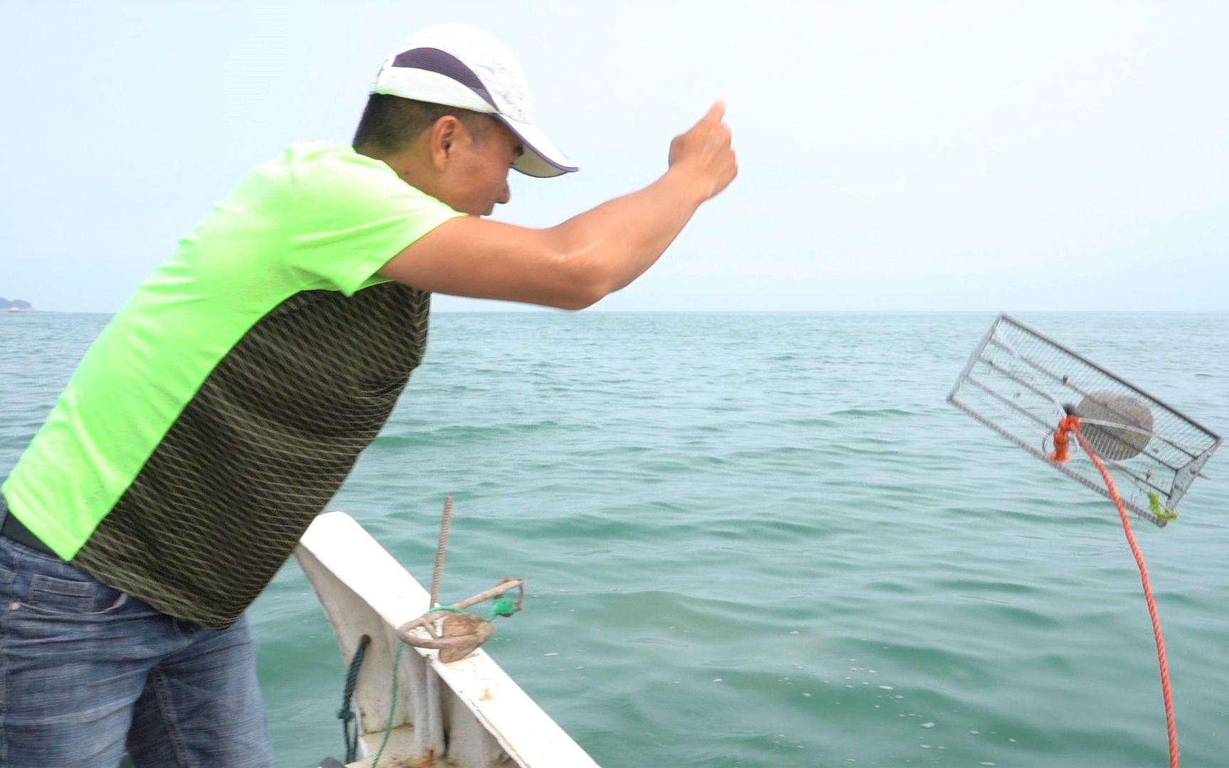 阿峰赶海图片