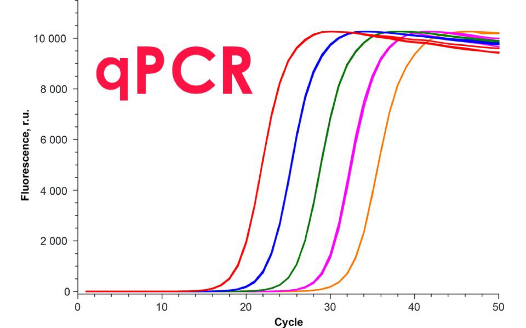 【实验】qPCR加样技巧,qPCR怎么减小误差哔哩哔哩bilibili