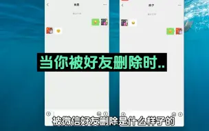 Download Video: 微信被好友删除是什么样子的