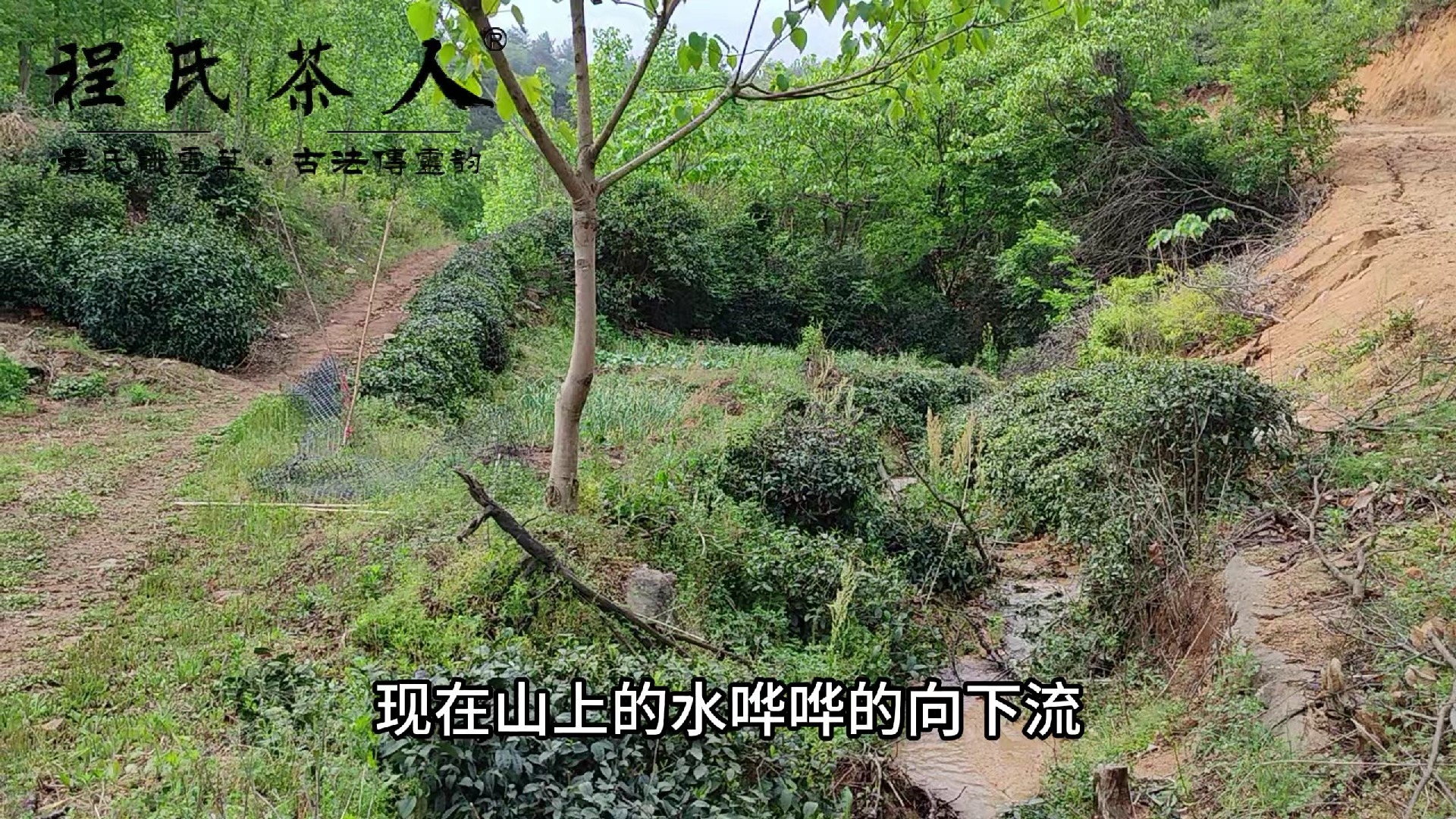 为什么山上会一直流水下来为什么在线 为什么山上会一直流水下来为什么在线