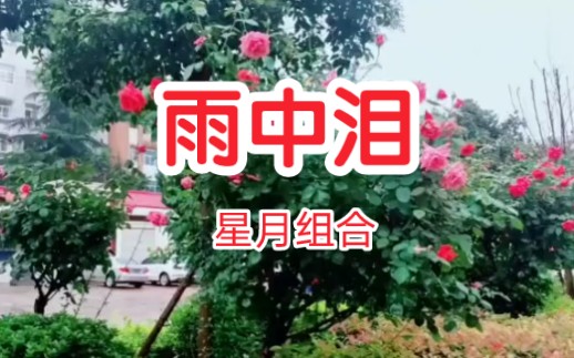 [图]星月组合一首伤感情歌DJ版《雨中泪》，句句扎心！听哭为爱付出太多的多情人！