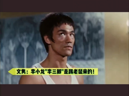 文隽:李小龙"李三脚"是踢老鼠练出来的!弟弟李振辉谈李小龙!