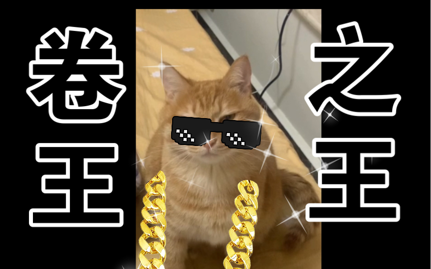 我的卷王猫咪猫圈内卷之王