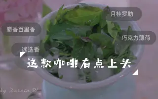 花魁草 搜索结果 哔哩哔哩 Bilibili 花魁草 搜索结果 哔哩哔哩 Bilibili