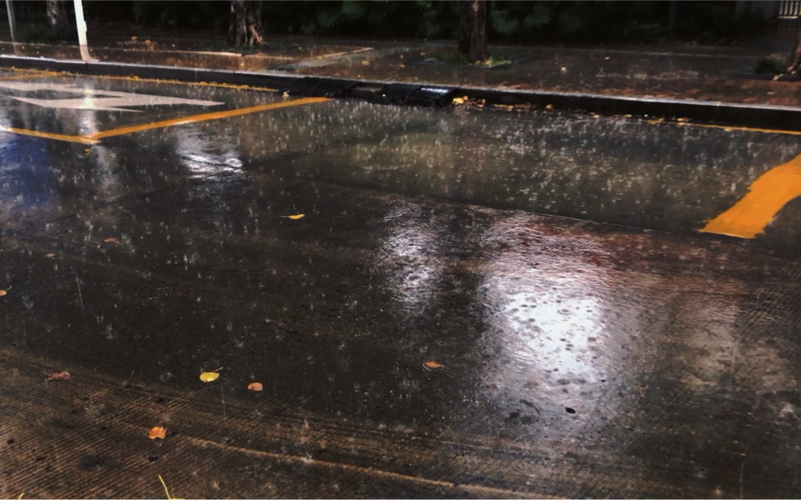 [图]第2293期 | 街道 倾盆大雨 一场暴雨 雨滴簌簌落下 城市街头下雨 情绪安静孤独视频素材 #下雨素材 #素材 #视频素材 快收藏创作吧