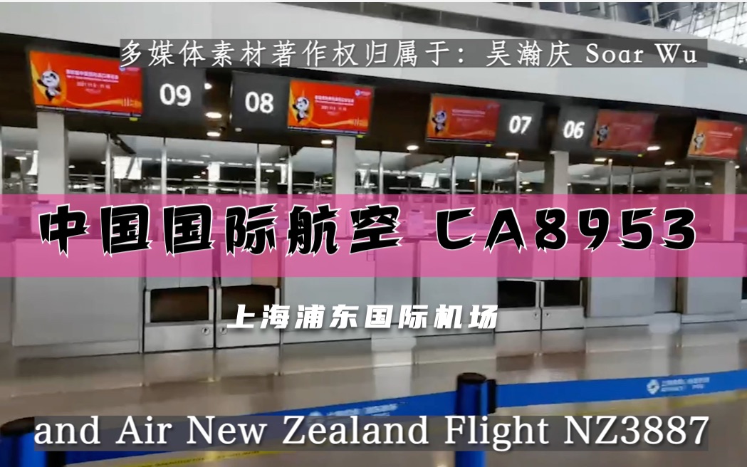 【航班广播录音】中国国际航空 CA8953 NZ3887 大连上海浦东T2【国内延误到达】哔哩哔哩bilibili