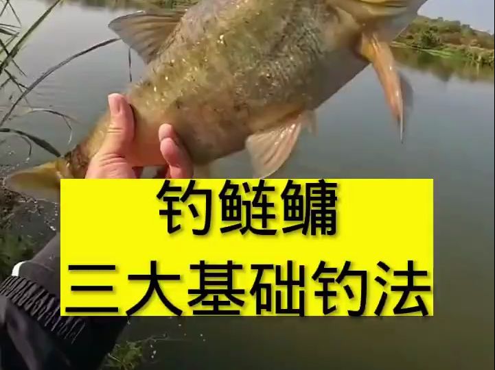 钓鲢鳙三大基础钓法,你知道几个?哔哩哔哩bilibili