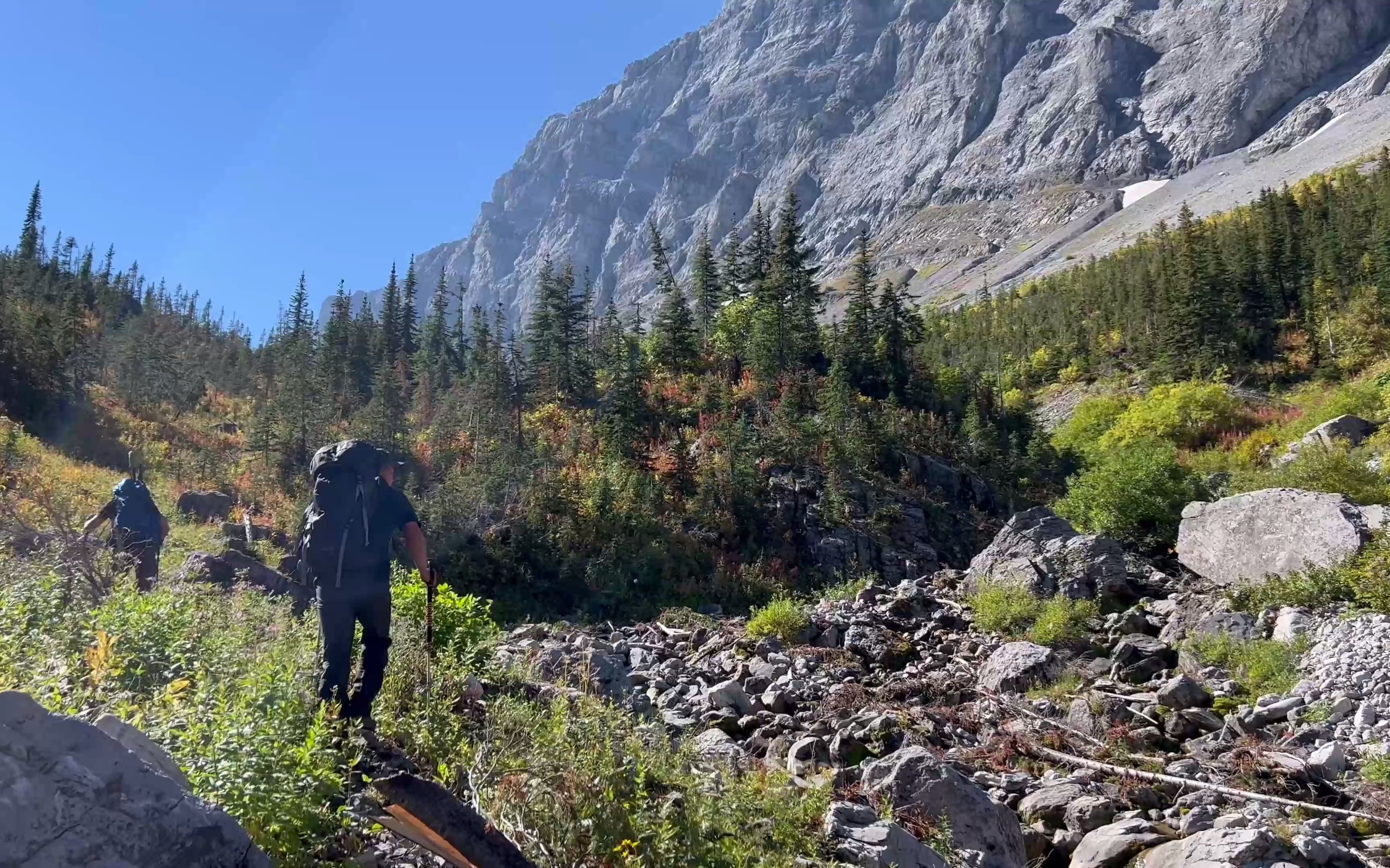 加拿大野外露营 高山山羊狩猎 bc mountain goat hunting