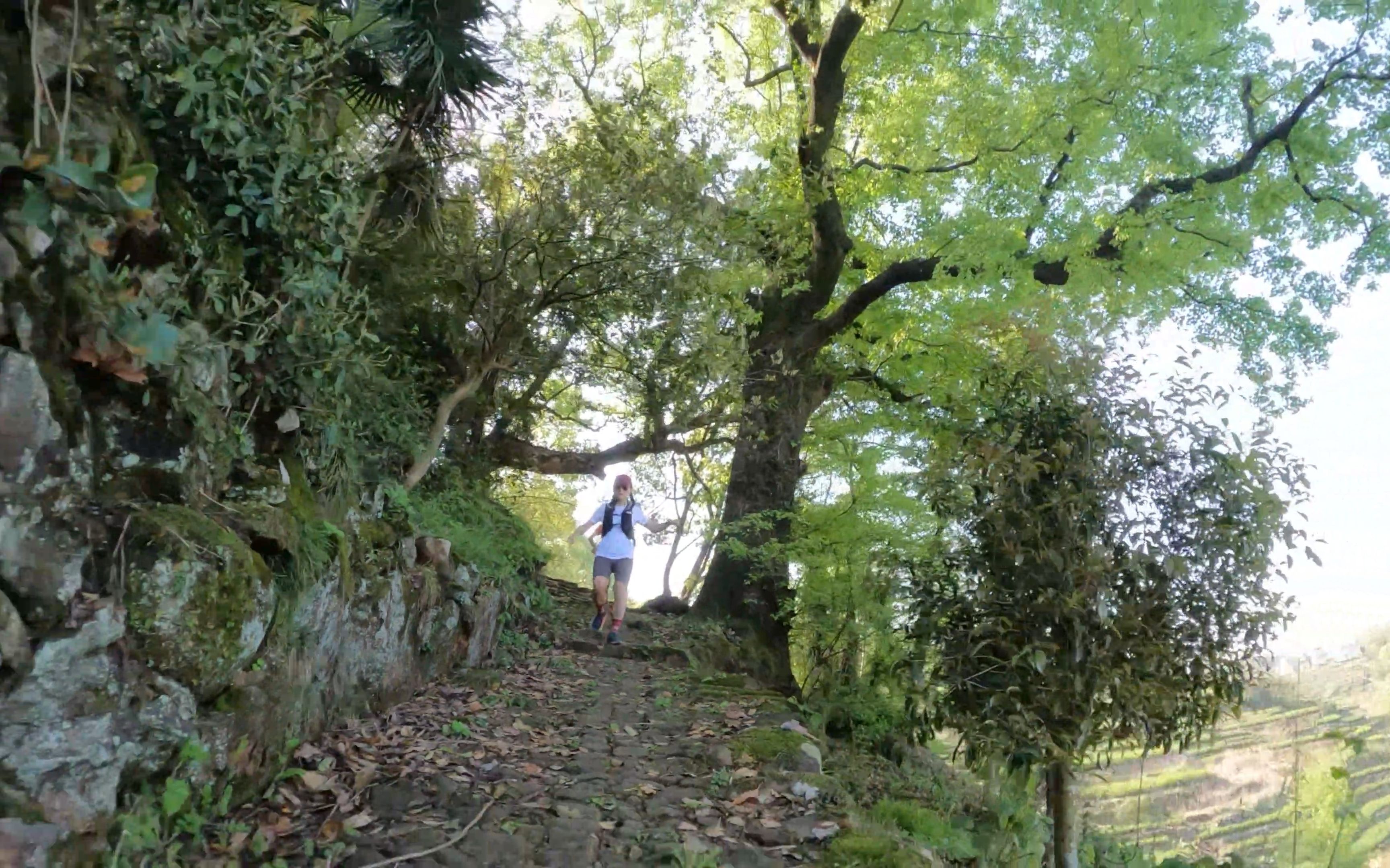 500km宁海国家登山健身步道-夏家&南山章&陈家岙#一镜#影子叶子