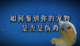 Télécharger la video: 如何鉴别你的涉鸡是否是伪鸡