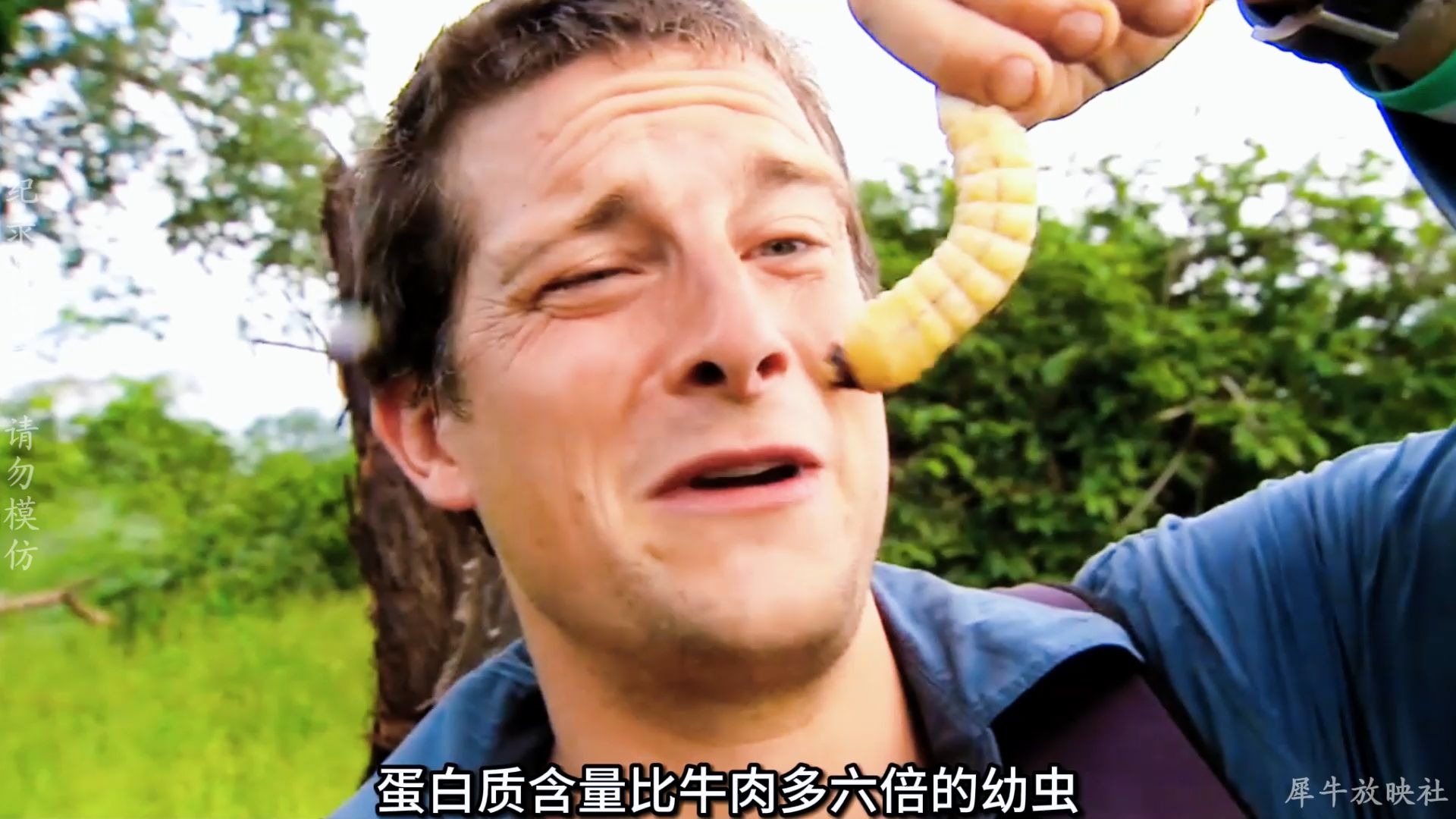 贝爷荒野求生享受着食物链顶端的美食,把荒野求生当美食节目