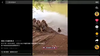 配音君呜哇蹚，臭马楼，妈妈在睡觉，我要吹喇叭，合成器版