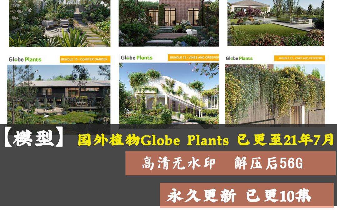 国外优质 Globe Plants 森林植物库3D模型高精度MAX模型写实效果图哔哩哔哩bilibili