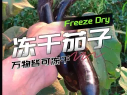 下载视频: 见过把茄子冻干吗？