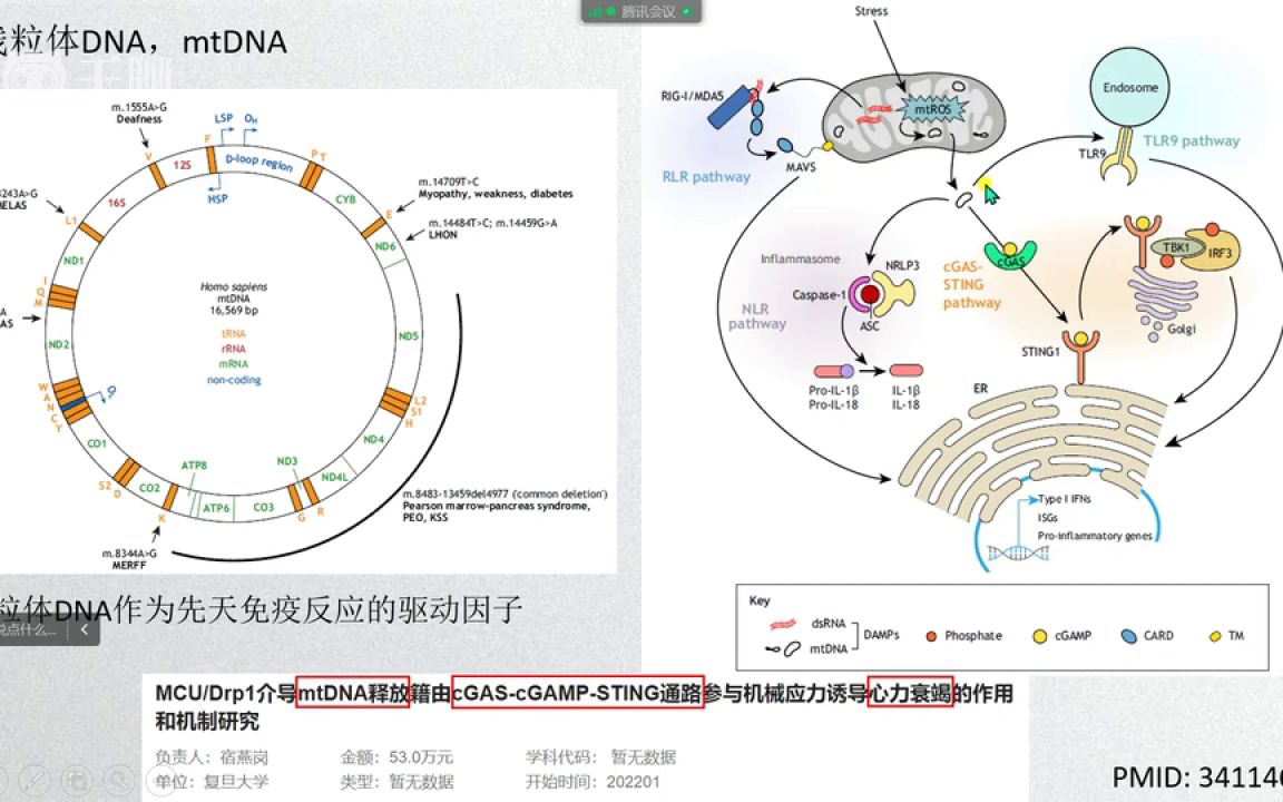 巧借新冠热点,快速发表高水平论文医学会员免费学哔哩哔哩bilibili