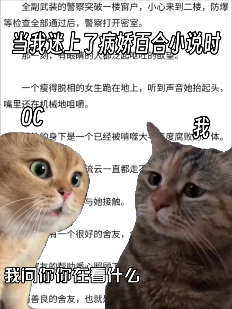 当我迷上了病娇百合重口味小说的时OCbelike:哔哩哔哩bilibili