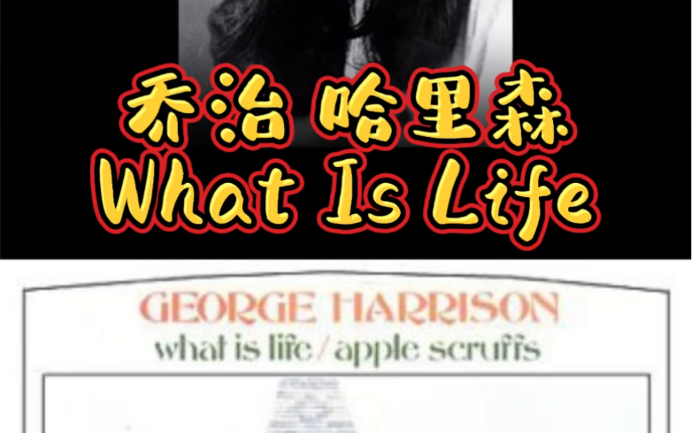 [图]乔治 哈里森 《What Is Life》黑胶唱片试听