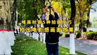 Download Video: 唯美秋景的5种拍摄技巧·拍出电影感画面效果