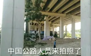 Download Video: 一棵树拍出200万的项目，这里有什么商业秘密呢？看懂的人发财了