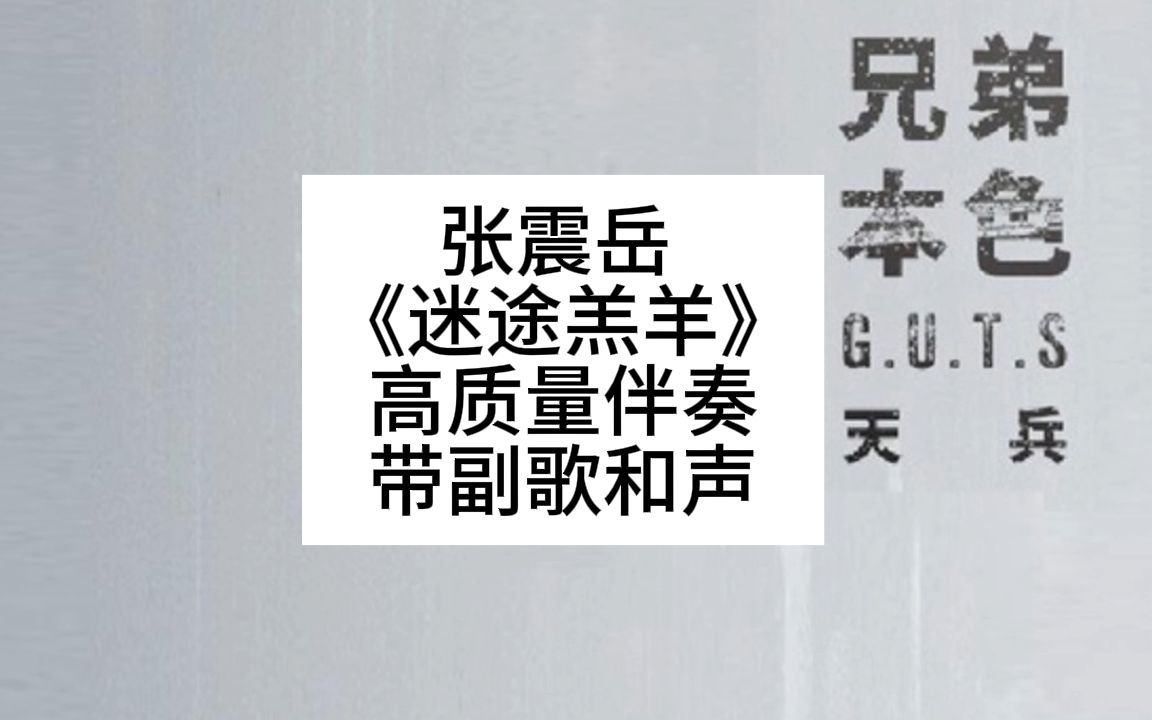 张震岳 《迷途羔羊》 高质量伴奏 带副歌和声