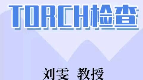 Torch 哔哩哔哩 Bilibili