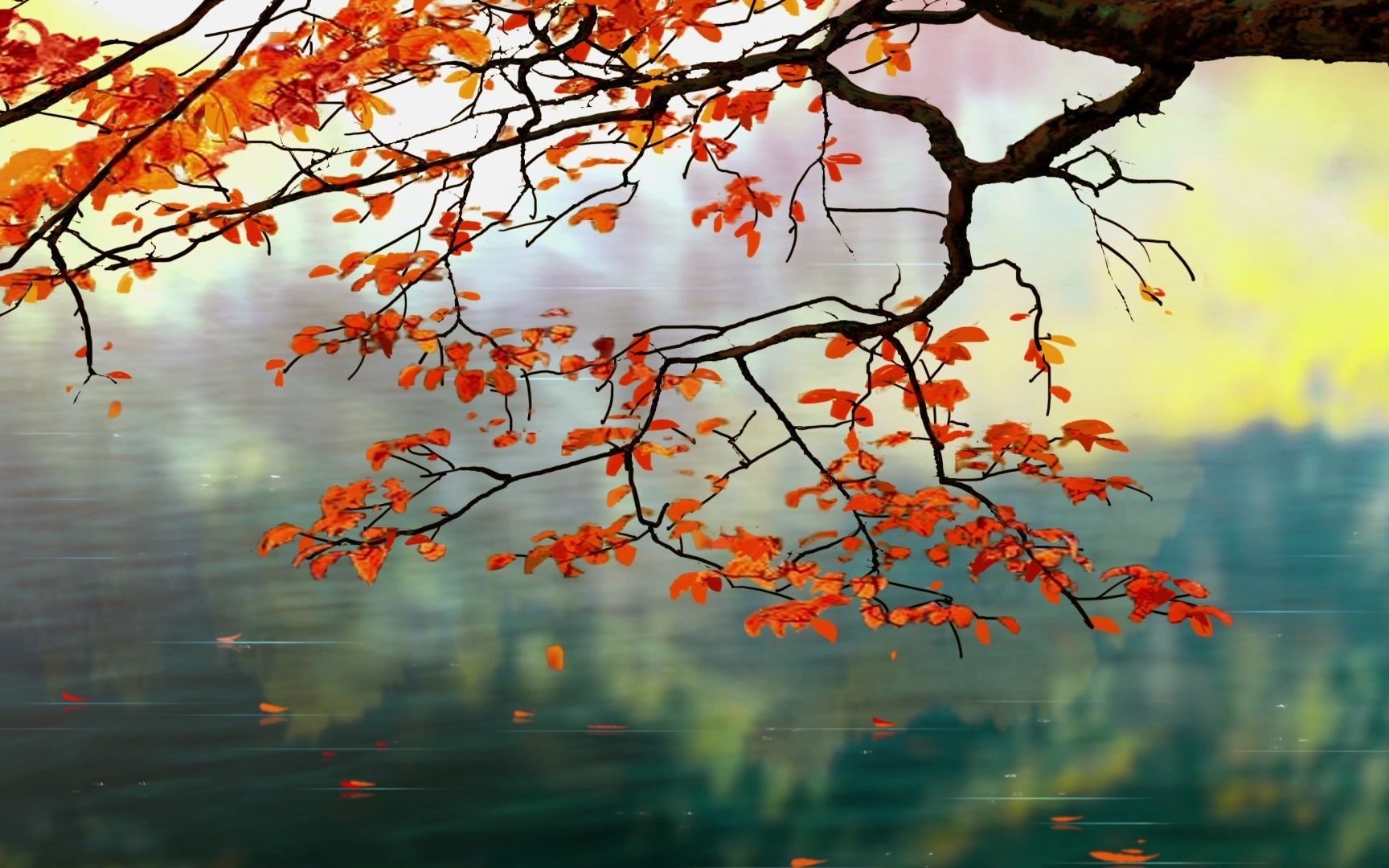 【拾忆长安】绝美空镜候选